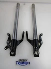 Triumph Trident 660 Tiger Sport Forkleg Inner Tubes T2043811 T2043815. Fixed Price $234.92.