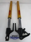 Triumph Speed 400 Forks Legs Pair TA121009. Fixed Price $349.02.