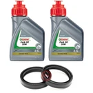 Set 1L Castrol 20W Fork Seals 33X46X10.5 Yamaha Zuma 125 2009-2013. Fixed Price $39.57.