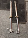 99-02 Kawasaki Front Forks Right Left Tubes Uppers Lowers. Fixed Price $215.00.