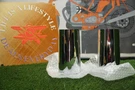 Harley 46116-03 Upper Fork Slider Covers 49MM Flht Flhr Fltr. Fixed Price $20.00.