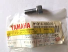 1998-2017 Yamaha Nos Front Fork Bolt XVS1100 XVS650 V-star 91314-08020-00. Fixed Price $24.99.