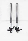 2020 - 2024 Ducati Panigale V4 Oem Showa Front Forks Suspension Shocks Set Black. Fixed Price $749.00.