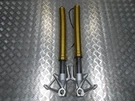 Genuine Bmw S1000 Front Fork Legs Damaged 2013 To 2020. Fixed Price $293.17.