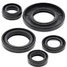 Yamaha TTR125L 2000 - 2015 Engine Oil Seal Kit 688965989051. Fixed Price $34.86.