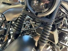 Fork Boot Kit Honda Rebel 300 / 500. Fixed Price $114.99.