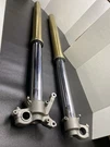 2008 2009 Suzuki RMZ250 Oem Fork Legs Front Suspension Tubes 51104-10H10 Good. Fixed Price $235.00.