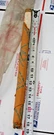 1970 1971 Honda Front Fork Shock Absorber Spring #51401-319-000. Fixed Price $125.37.