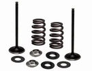 Kibblewhite Stainless Intake Valve/spring Kit Husqvarna Fs Fx Fc 450 96-96540. Fixed Price $192.75.