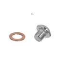 Harley-davidson Chrome Fork Slider Drain Allen Screw Plugs Oem 45848-03. Fixed Price $40.48.