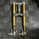 Ducati Panigale Corse 1299S 2019 Genuine Oem Ohlins Fl 9560 Forks. Fixed Price $1350.00.