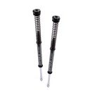 Harddrive Scepter Fork Kit Flt 49MM R0900108-1. Fixed Price $601.81.