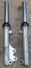 Hyosung SD50 Sense 1997-04 Oem Front Forks Suspensions 51100H11A04HPA 5FL. Fixed Price $200.00.