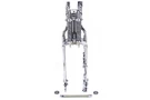 Flsts Complete Inline Spring Fork Assembly Chrome Harley-davidson. Fixed Price $1825.99.