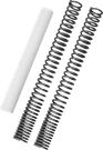 Burly Brand Fork Spring Kit B28-1100. Fixed Price $121.79.