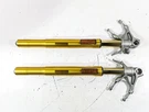 2015 Ducati Panigale 1299 Straight Ohlins Front Forks 34420711A 34520711A. Fixed Price $1099.99.